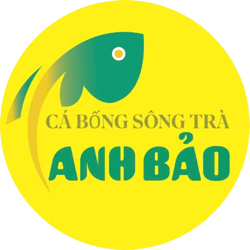 Cá bống Sông Trà Anh Bảo